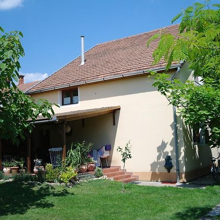 Nóra Apartman Gyula Zewnętrze zdjęcie